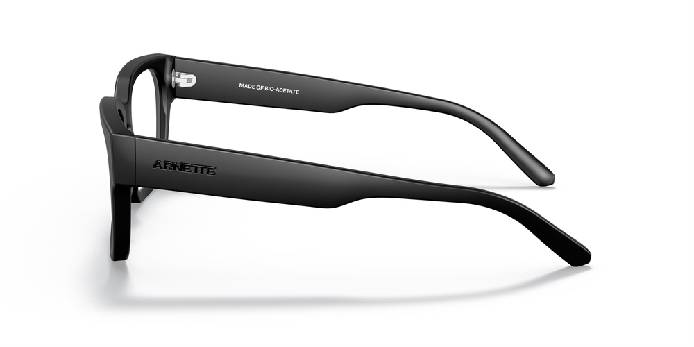 ARNETTE 4294 1219SB 54 UNİSEX Güneş gözlükleri