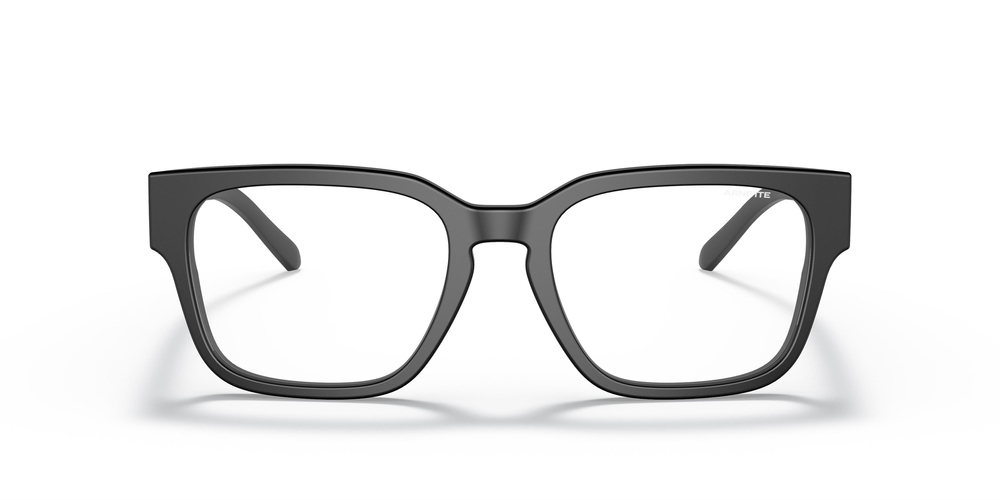 ARNETTE 4294 1219SB 54 UNİSEX Güneş gözlükleri
