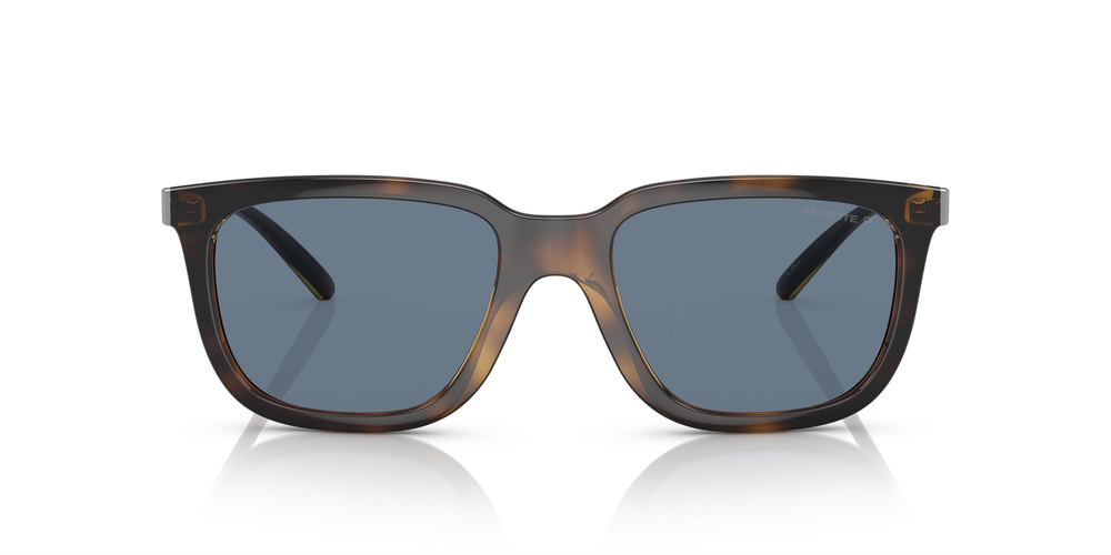 ARNETTE 4306 27702V 54 UNİSEX Güneş gözlükleri