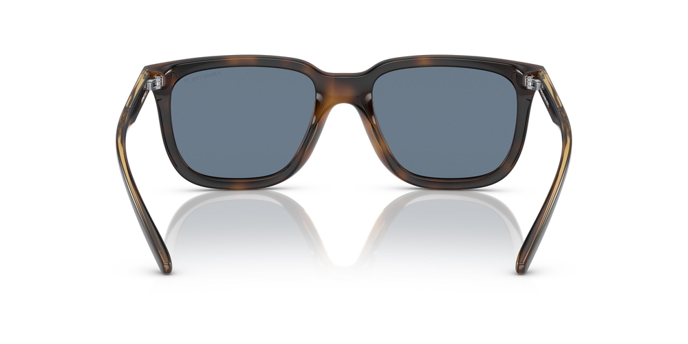 ARNETTE 4306 27702V 54 UNİSEX Güneş gözlükleri