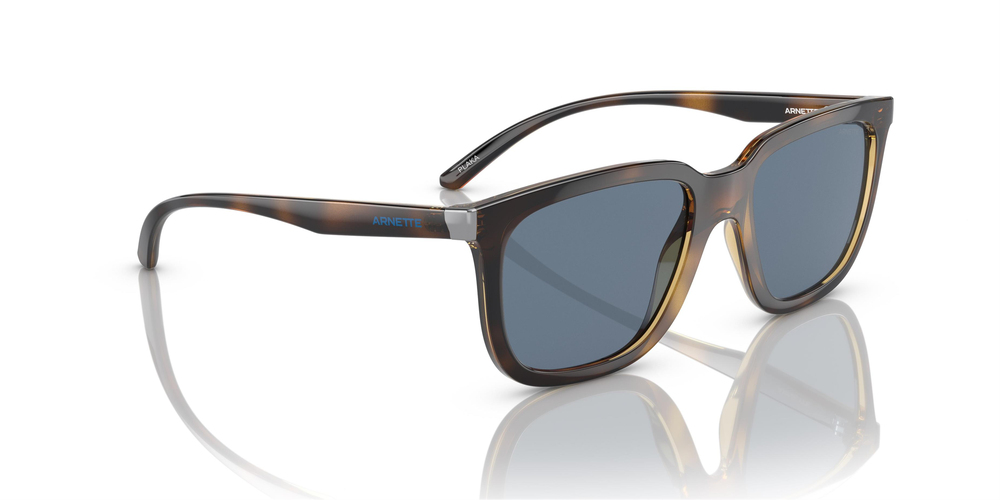ARNETTE 4306 27702V 54 UNİSEX Güneş gözlükleri
