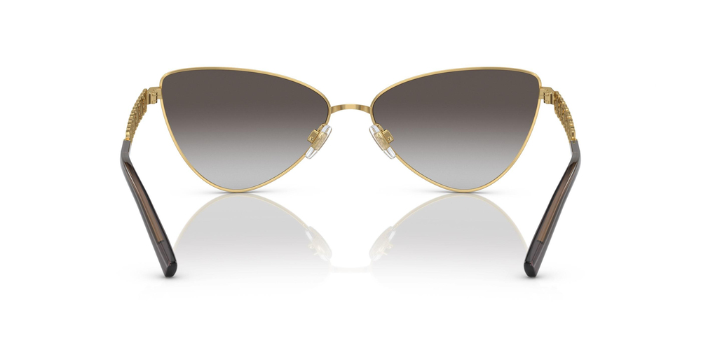 DOLCE & GABBANA 0DG2290 13118G 60 KADIN Güneş gözlükleri