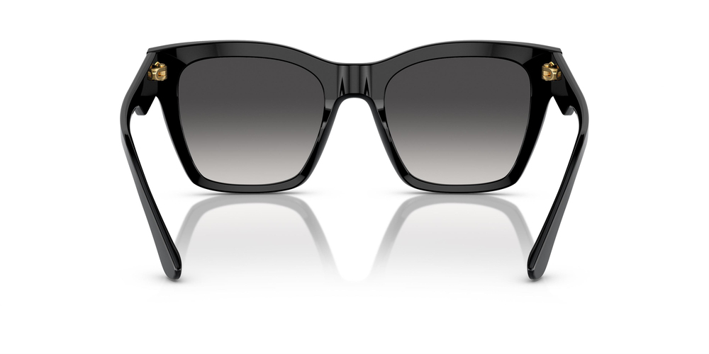 DOLCE & GABBANA  4384 501/8G 53 KADIN Güneş gözlükleri