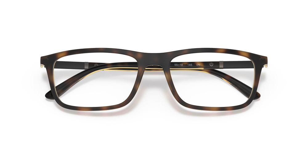 EMPORIO ARMANI 4160 58021W 55 ERKEK Güneş gözlükleri
