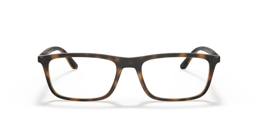 EMPORIO ARMANI 4160 58021W 55 ERKEK Güneş gözlükleri