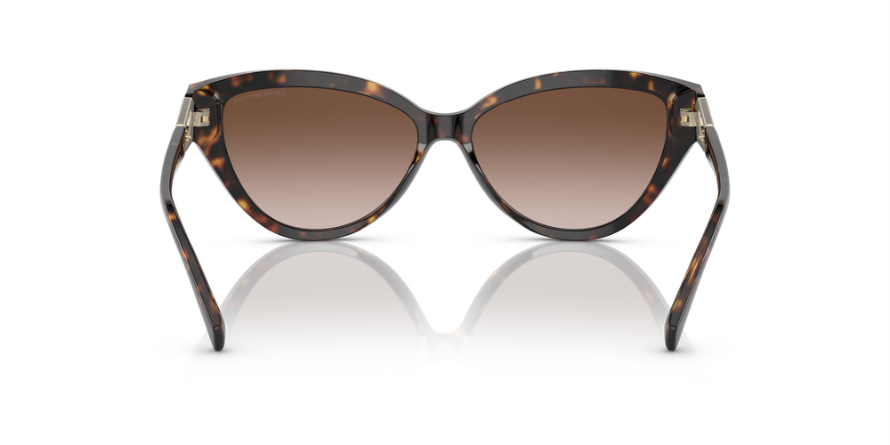 EMPORIO ARMANI 4192 502613 57 KADIN Güneş gözlükleri