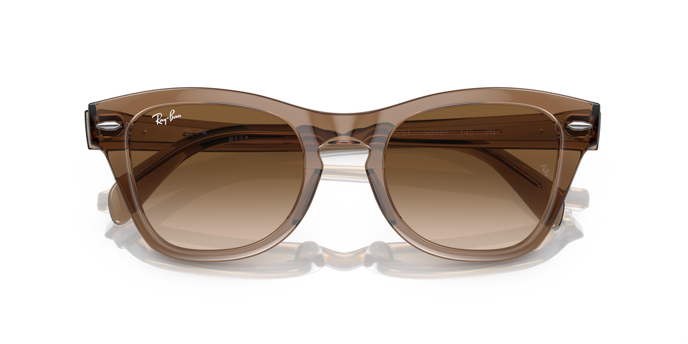 RAY-BAN 0707S 664051 50 UNİSEX Güneş gözlükleri
