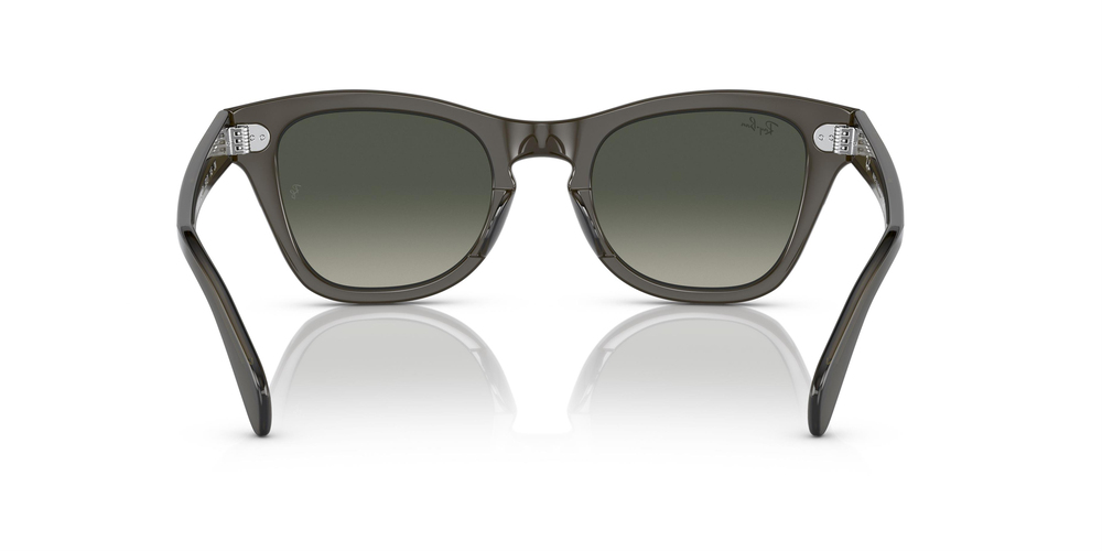 RAY-BAN 0707S 664271 50 UNİSEX Güneş gözlükleri