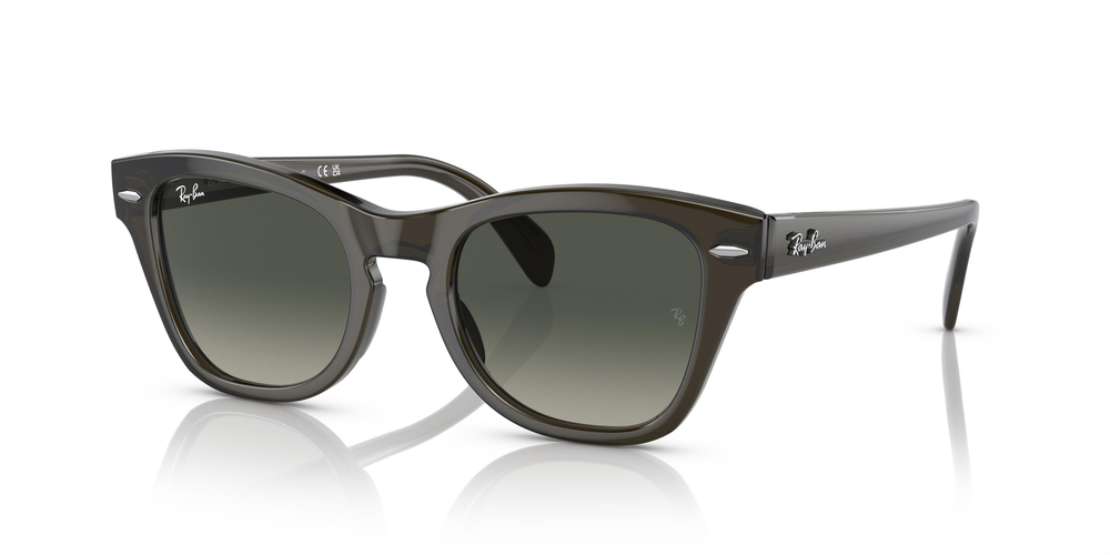 RAY-BAN 0707S 664271 50 UNİSEX Güneş gözlükleri