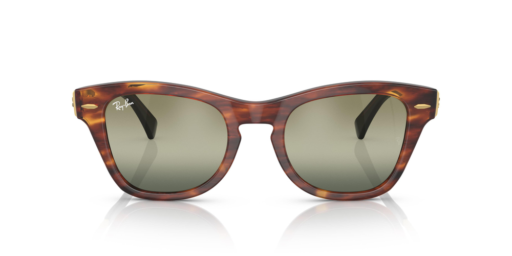 RAY-BAN  0707SM 954/G4 50 UNİSEX Güneş gözlükleri