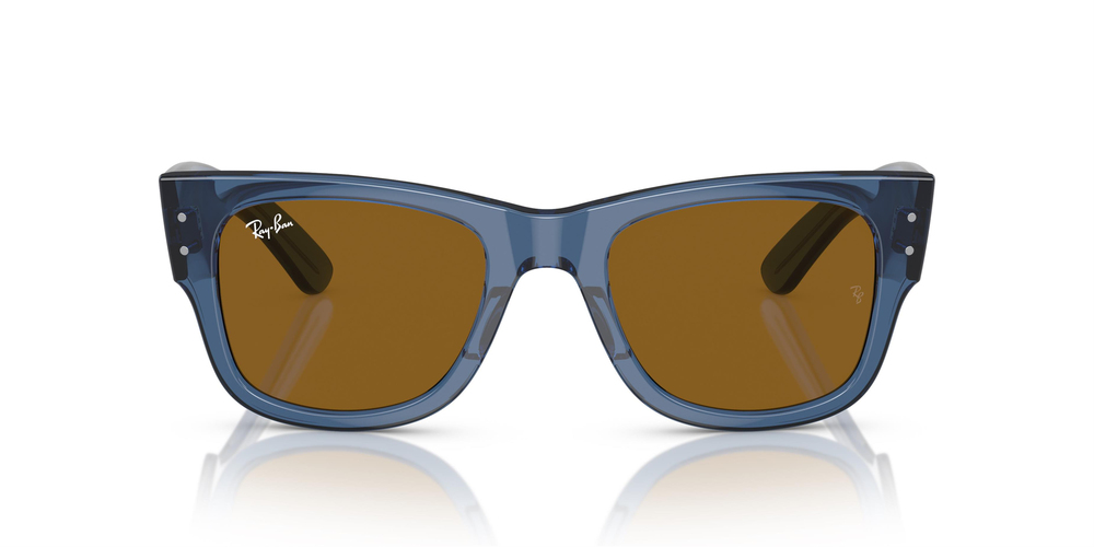 RAY-BAN 0840S 668073 51 UNİSEX Güneş gözlükleri