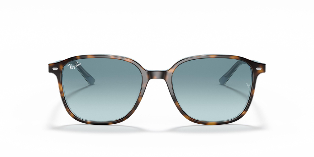 RAY-BAN 0RB2193 13163M 55 UNİSEX Güneş gözlükleri