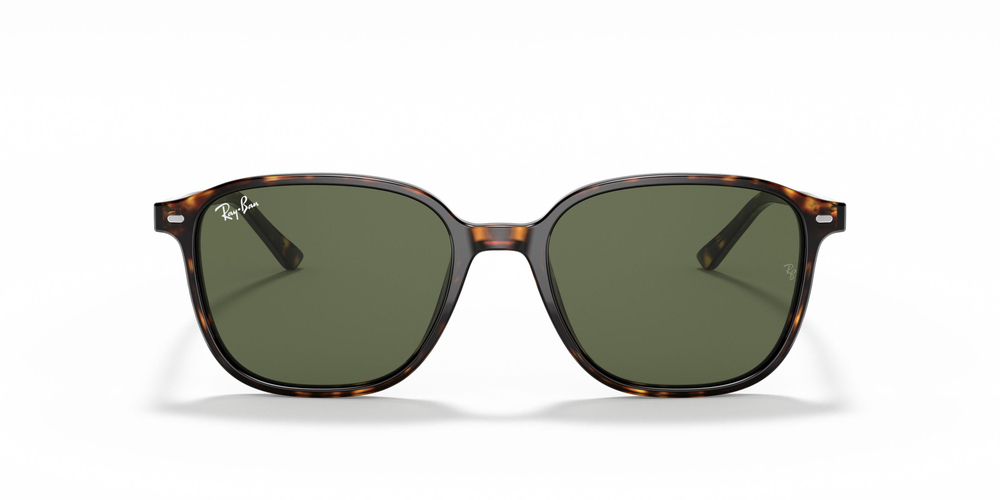 RAY-BAN 0RB2193 902/31 55 UNİSEX Güneş gözlükleri