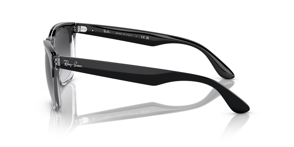 RAY-BAN 0RB4487 66308G 54 UNİSEX Güneş gözlükleri