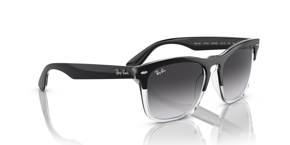 RAY-BAN 0RB4487 66308G 54 UNİSEX Güneş gözlükleri