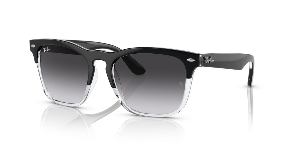 RAY-BAN 0RB4487 66308G 54 UNİSEX Güneş gözlükleri