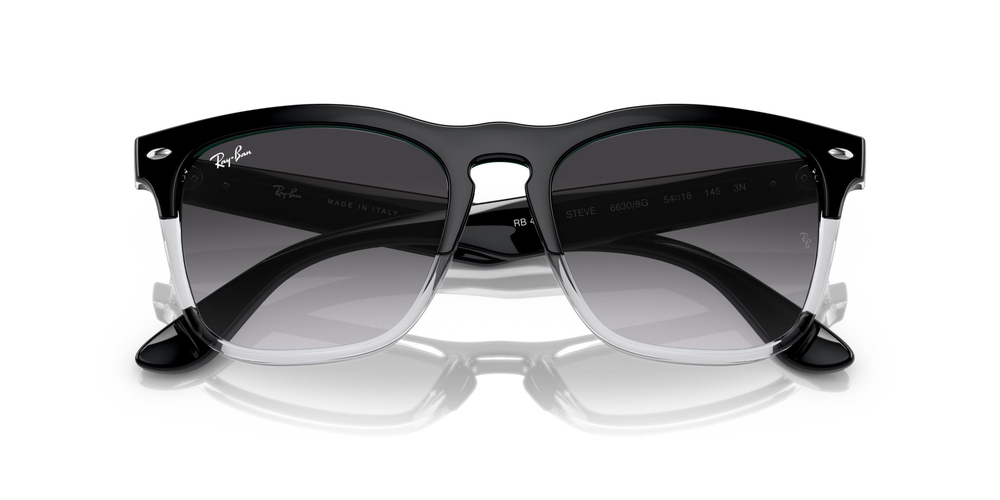 RAY-BAN 0RB4487 66308G 54 UNİSEX Güneş gözlükleri
