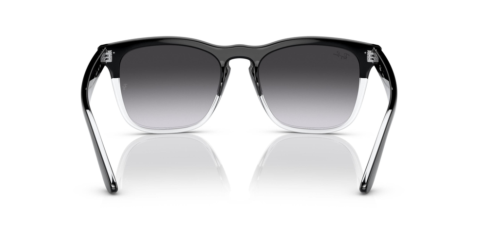 RAY-BAN 0RB4487 66308G 54 UNİSEX Güneş gözlükleri