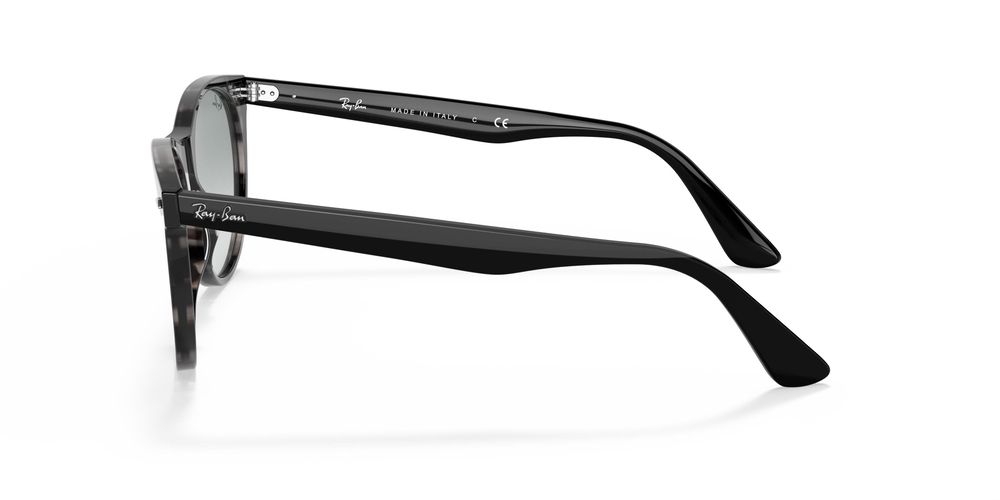 Ray-Ban  RB 2185 1250AD 55 UNİSEX Güneş gözlükleri