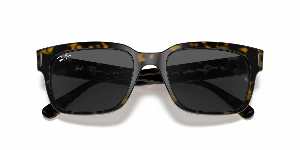 Ray-Ban  RB 2190 1292B1 55 UNİSEX Güneş gözlükleri