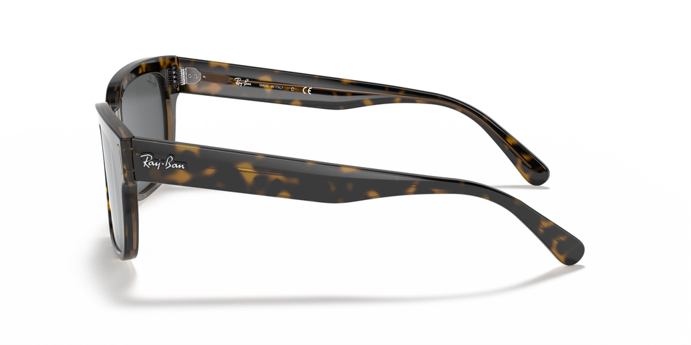 Ray-Ban  RB 2190 1292B1 55 UNİSEX Güneş gözlükleri
