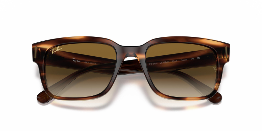 Ray-Ban 2190 954/51 55 WOMEN Güneş gözlükleri