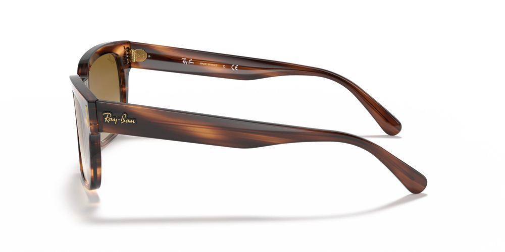 Ray-Ban 2190 954/51 55 WOMEN Güneş gözlükleri