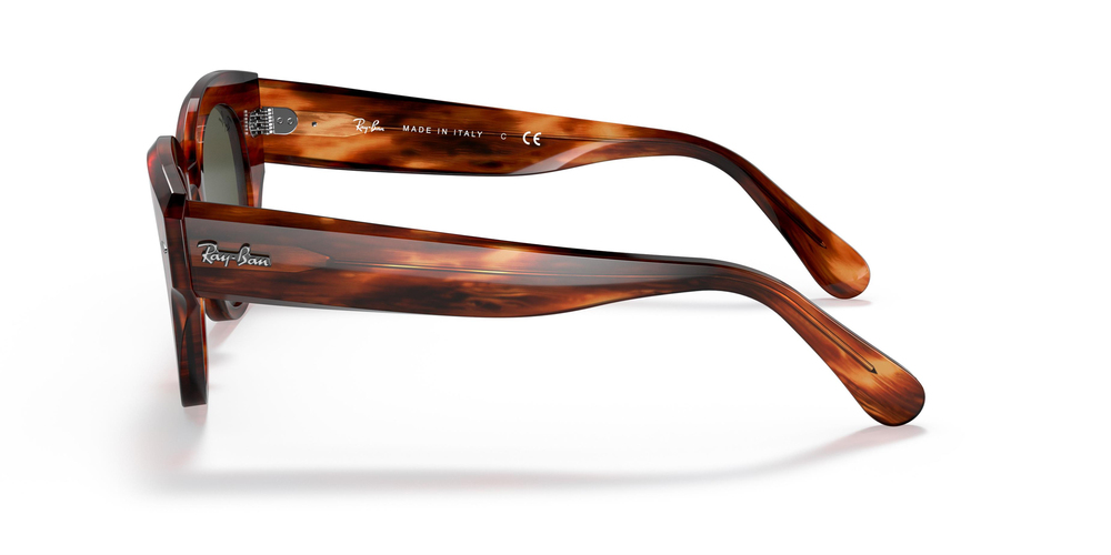 Ray-Ban 2192 954/31 47 WOMEN Güneş gözlükleri