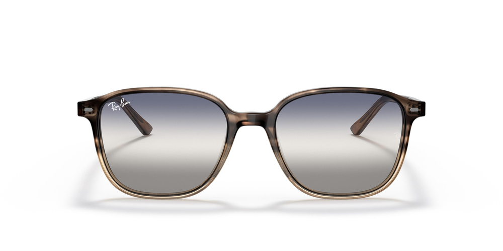 Ray-Ban 2193 1327GF 53 UNİSEX Güneş gözlükleri