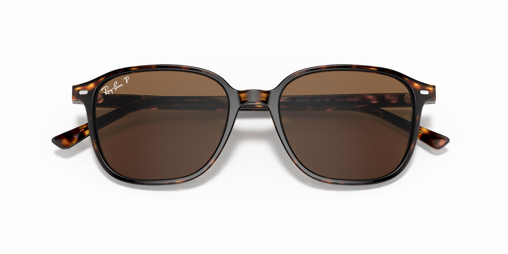 Ray-Ban 2193 902/57 53 MEN Güneş gözlükleri
