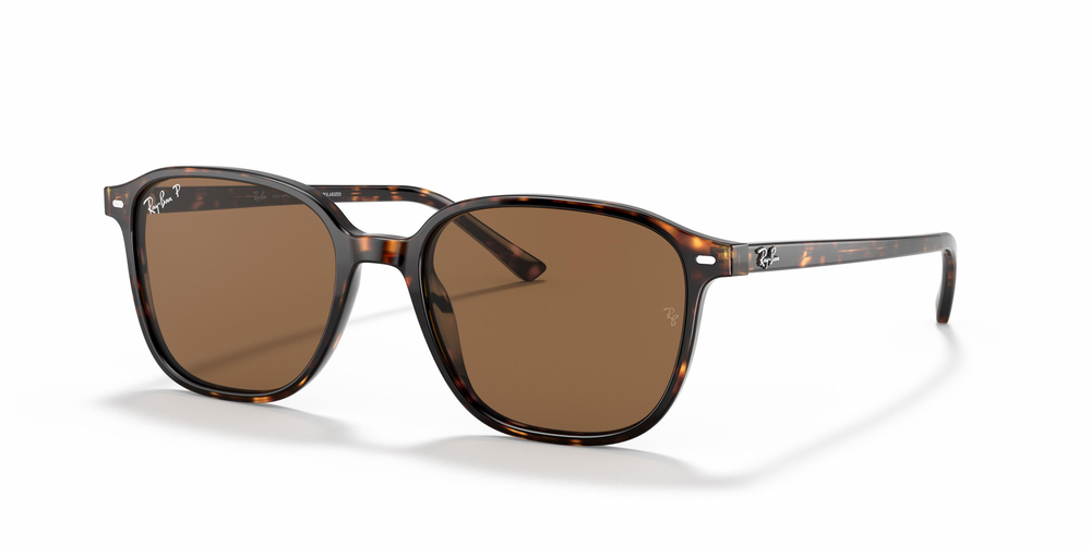 Ray-Ban 2193 902/57 53 MEN Güneş gözlükleri