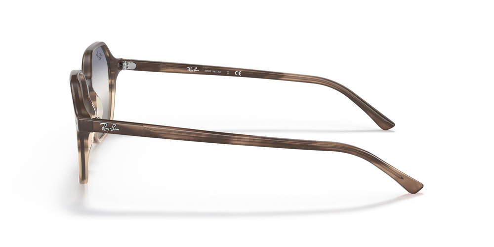 Ray-Ban  RB 2194 1327GF 51 UNİSEX Güneş gözlükleri