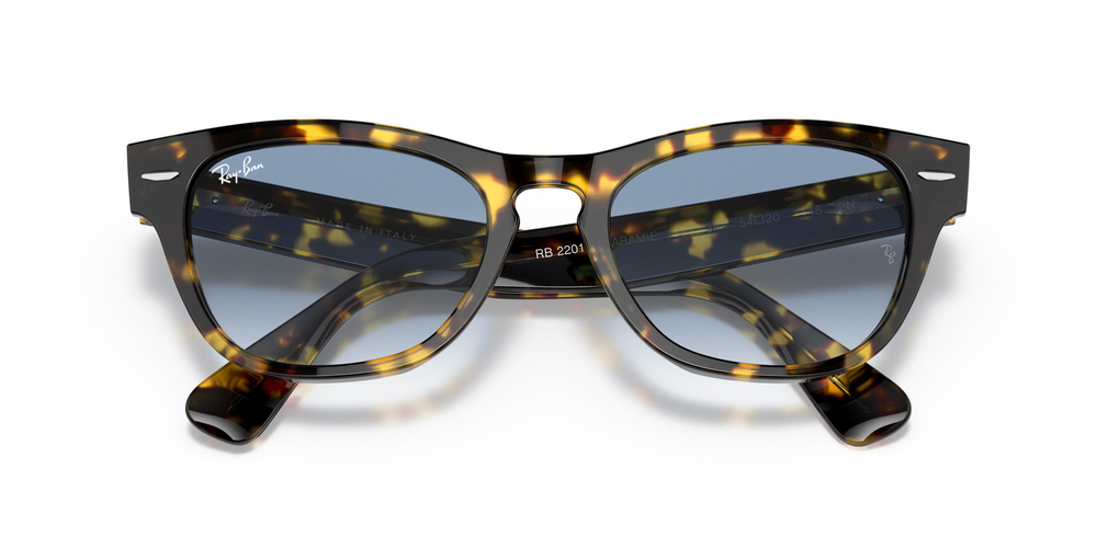 RAY-BAN  2201 13323F 54 UNİSEX Güneş gözlükleri