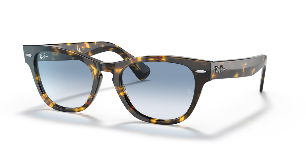 RAY-BAN  2201 13323F 54 UNİSEX Güneş gözlükleri