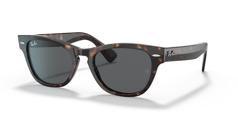 RAY-BAN  2201 902/B1 54 UNİSEX Güneş gözlükleri