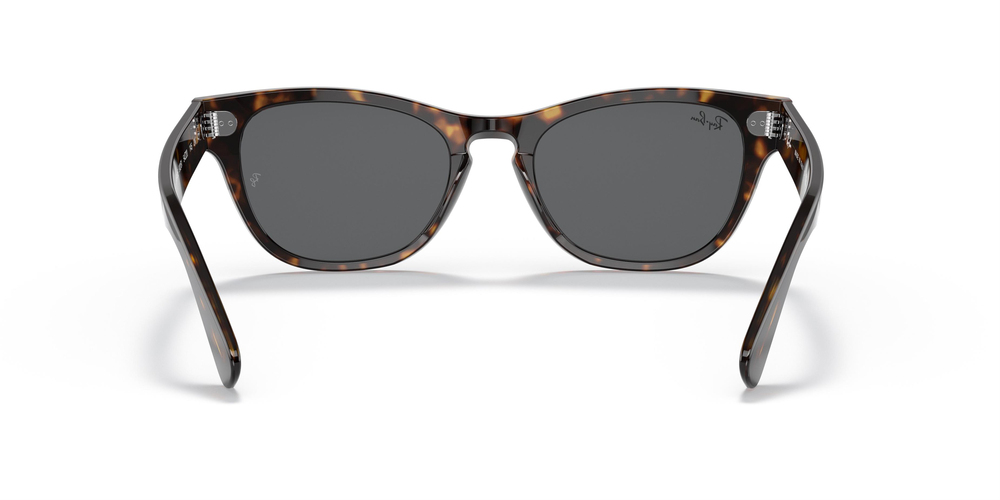 RAY-BAN  2201 902/B1 54 UNİSEX Güneş gözlükleri