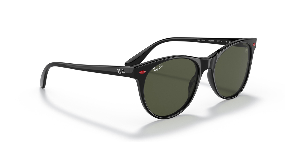 Ray-Ban 2202M F60131 55 WOMEN Güneş gözlükleri