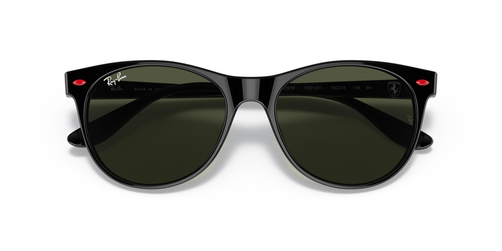 Ray-Ban 2202M F60131 55 WOMEN Güneş gözlükleri