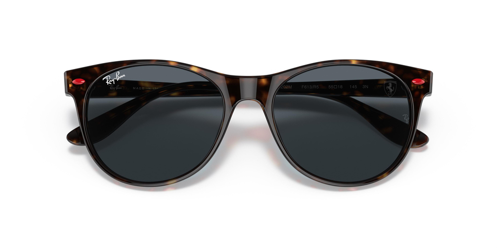 Ray-Ban 2202M F613R5 55 WOMEN Güneş gözlükleri