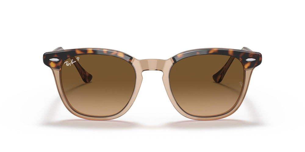 RAY-BAN 2298 1292M2 50 UNİSEX Güneş gözlükleri