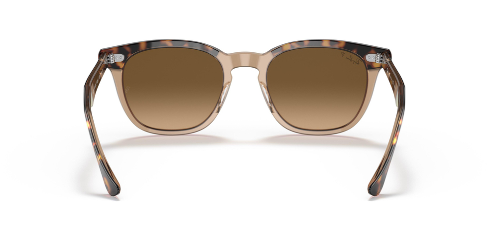 RAY-BAN 2298 1292M2 52 UNİSEX Güneş gözlükleri