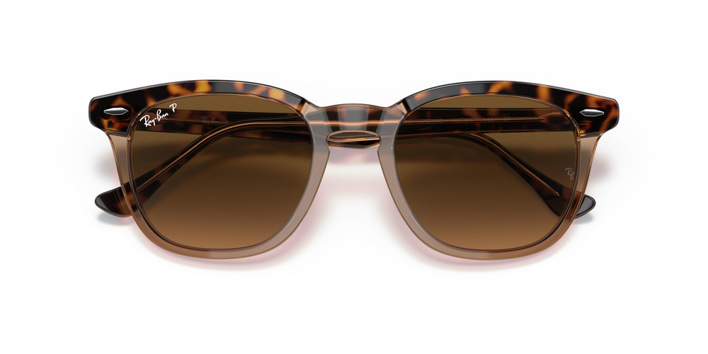RAY-BAN 2298 1292M2 52 UNİSEX Güneş gözlükleri
