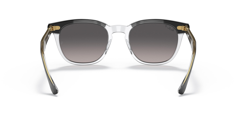 RAY-BAN 2298 1294M3 50 UNİSEX Güneş gözlükleri
