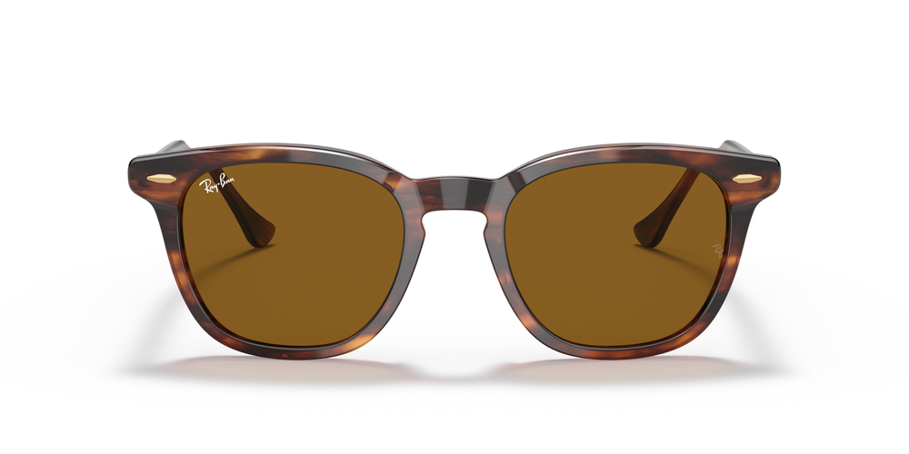 RAY-BAN 2298 954/33 52 UNİSEX Güneş gözlükleri