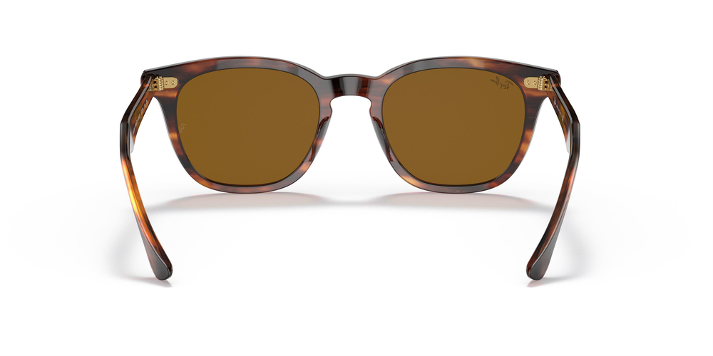 RAY-BAN 2298 954/33 52 UNİSEX Güneş gözlükleri