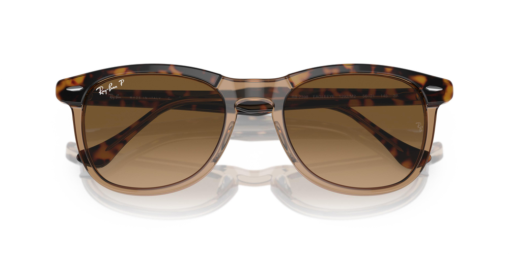 RAY-BAN 2398 1292M2 53 UNİSEX Güneş gözlükleri