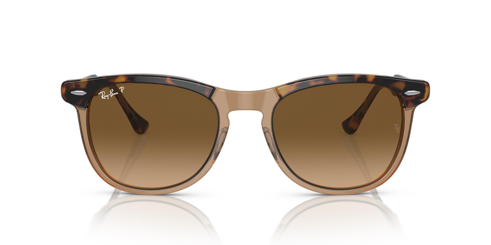 RAY-BAN 2398 1292M2 53 UNİSEX Güneş gözlükleri