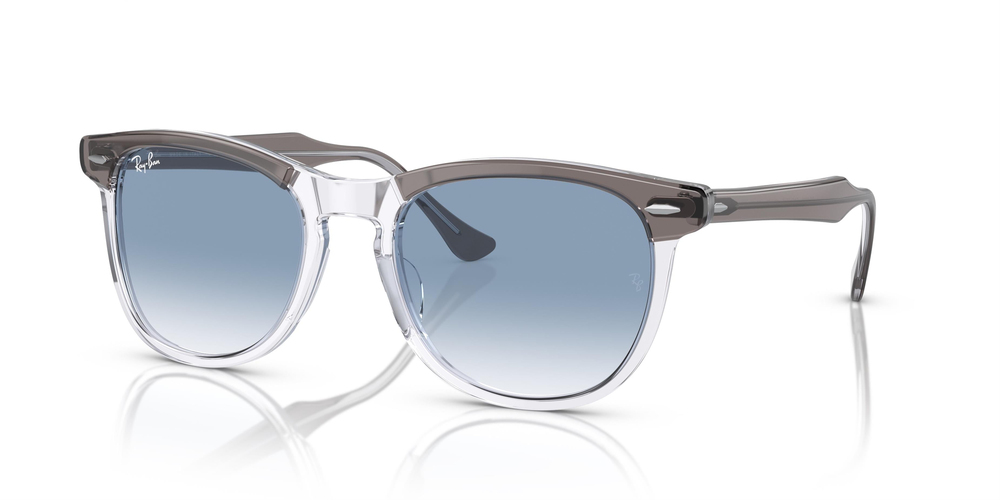 RAY-BAN 2398 13553F 53 UNİSEX Güneş gözlükleri