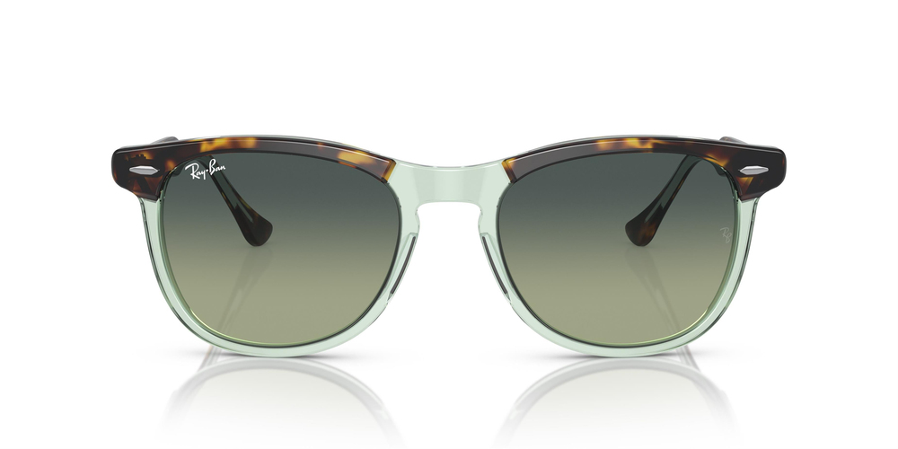 RAY-BAN 2398 1376BH 56 UNİSEX Güneş gözlükleri