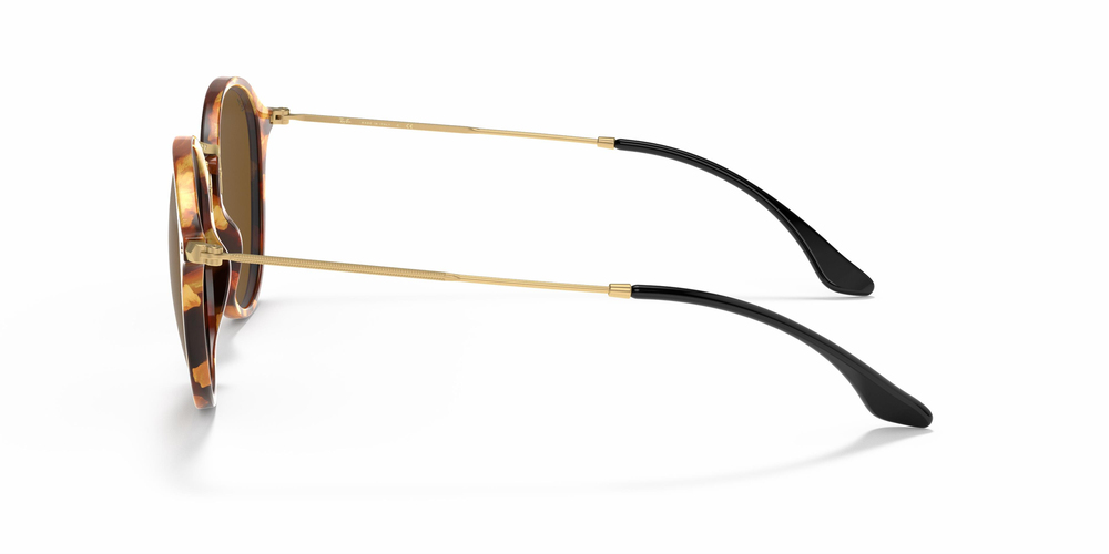 RAY-BAN 2447 1160 49 UNİSEX Güneş gözlükleri